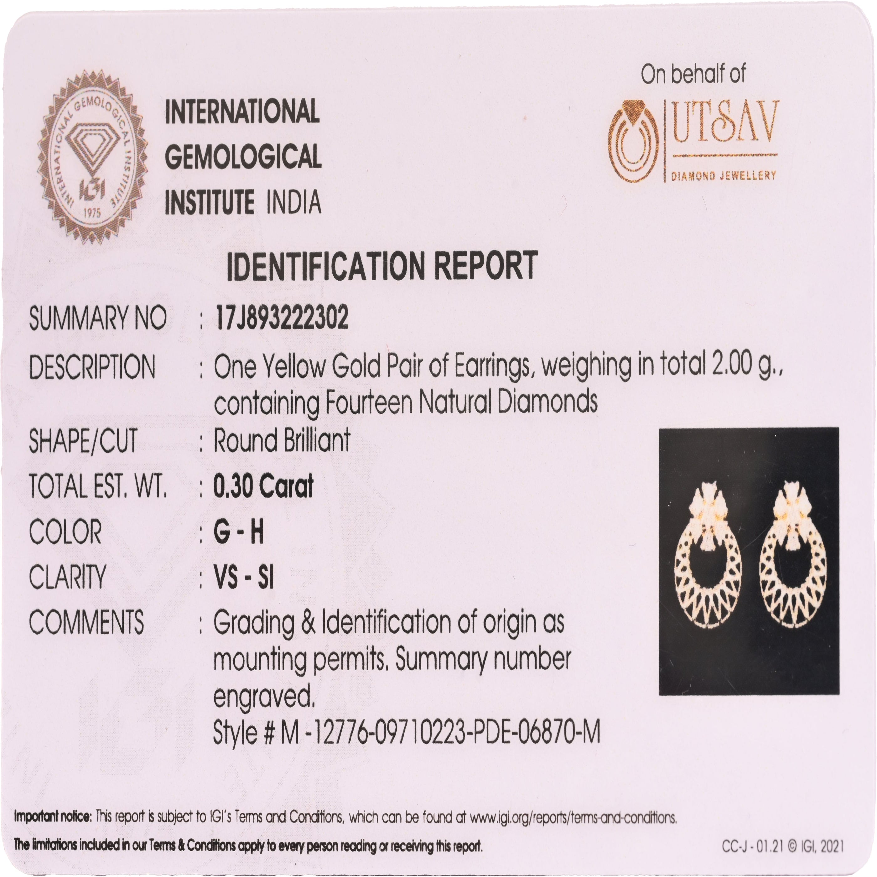 Magic Golden Bucket With A Diamond Daisy Earrings