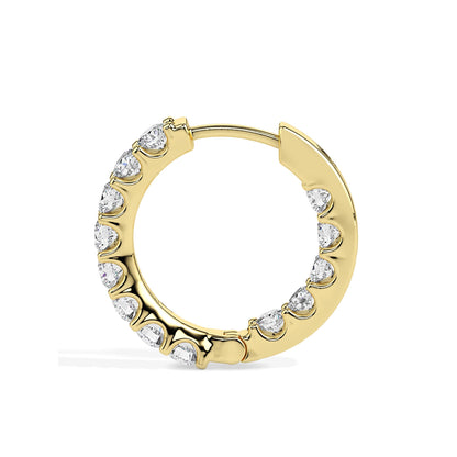Noor Shine hoops