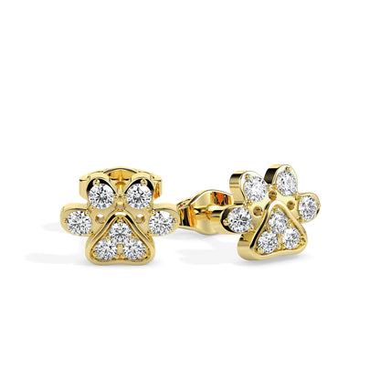 Ridhi Crown