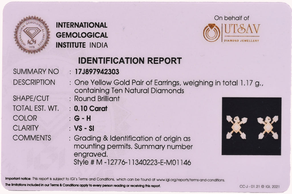 Magic Radiant Sophistication Earrings